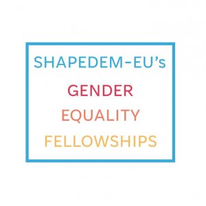 SHAPEDEM-EU commences its Gender Equality Fellowships